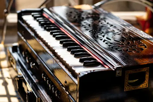 Photograph of online Music class in Salem - Mettur Dam for learning Harmonium